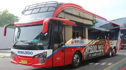Borlindo Bus-Front Image