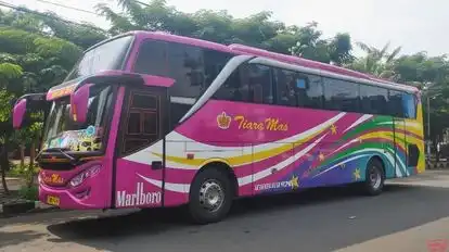 Tiara Mas Bus-Side Image