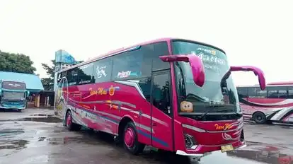 Tiara Mas Bus-Front Image