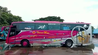 Tiara Mas Bus-Side Image