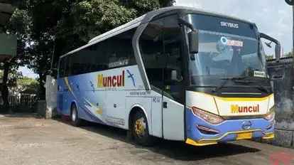 MUNCUL Bus-Front Image
