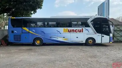 MUNCUL Bus-Side Image