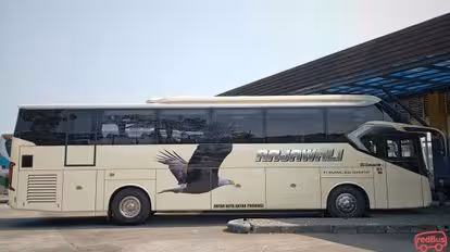 Rajawali Banyumanik Bus-Side Image