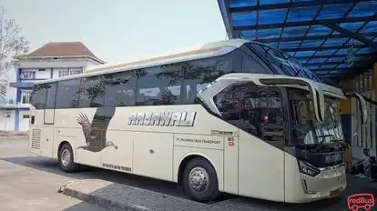 Rajawali Banyumanik Bus-Side Image