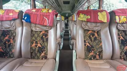 Mega Mas Bus-Seats layout Image