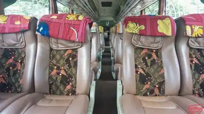 Mega Mas Bus-Seats layout Image