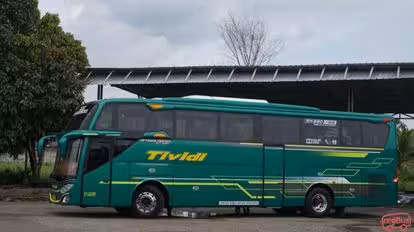 Tividi Bus-Front Image