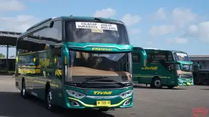 Tividi Bus-Front Image