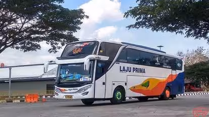 Laju Prima Sumber Artha Bus-Front Image