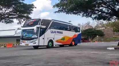 Laju Prima Sukoharjo Bus-Front Image