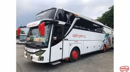 Adhi Prima Bus-Front Image