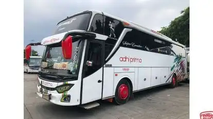 Adhi Prima Bus-Side Image
