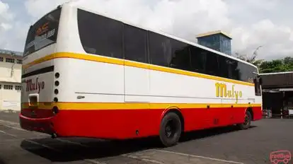Po Mulyo Yogyakarta Bus-Side Image