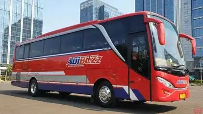 Adibuzz Bus-Side Image