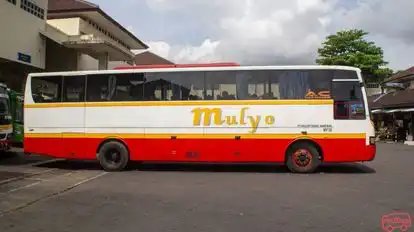 PO Mulyo Purwokerto Bus-Side Image