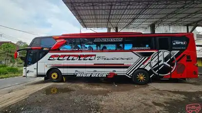 Surya Trans Bus-Side Image