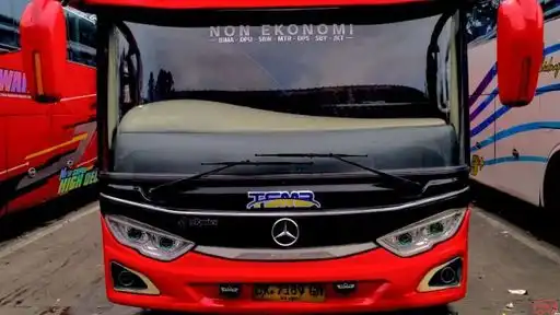 Wafaa Holiday Bus-Front Image