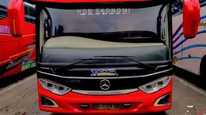 Wafaa Holiday Bus-Front Image