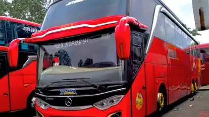 Wafaa Holiday Bus-Side Image