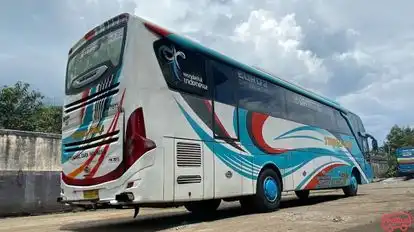 Tunggal Dara Bus-Side Image