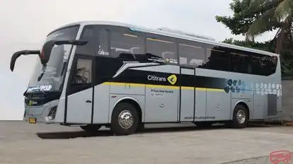 Cititrans Busline Bus-Front Image