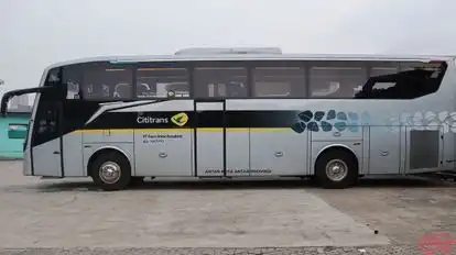 Cititrans Busline Bus-Side Image