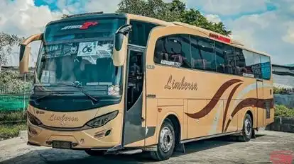 Limbersa Anugrah Prima Bus-Front Image