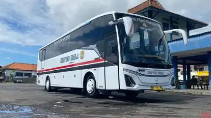 Surya Bali Bus-Front Image