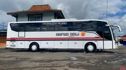 Surya Bali Bus-Side Image