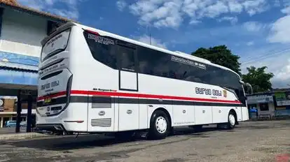 Surya Bali Bus-Side Image