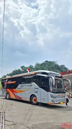 Miyor Bus-Front Image