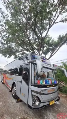 Miyor Bus-Front Image