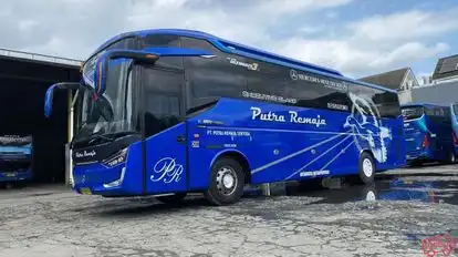 Putra Remaja Bus-Side Image