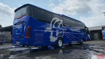 Putra Remaja Bus-Side Image