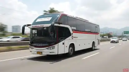 Primajasa Bus-Front Image