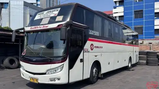Primajasa Bus-Front Image
