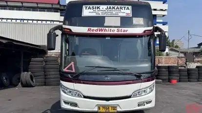 Primajasa Bus-Front Image