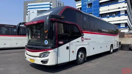 Primajasa Bus-Front Image