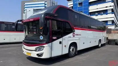 Primajasa Bus-Front Image