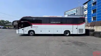Primajasa Bus-Side Image