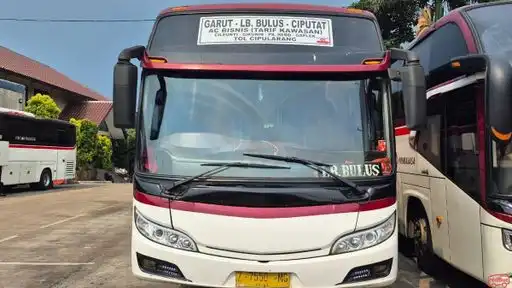 Primajasa Bus-Front Image