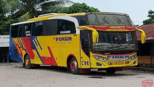 Pinem Lau Guna Bus-Front Image