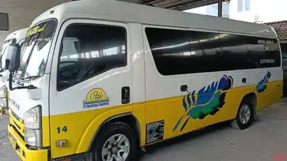 Penjor Travel Bus-Front Image