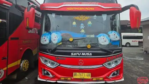 Satu Nusa Lintas Persada Bus-Front Image