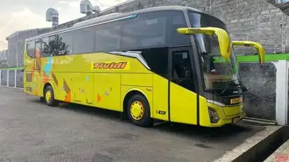 Tividi Bus-Front Image