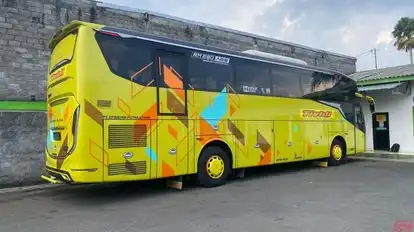 Tividi Bus-Side Image