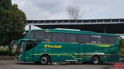 Tividi Bus-Side Image