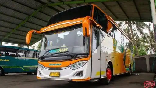 Tividi Bus-Front Image
