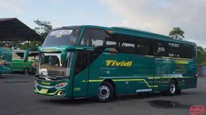 Tividi Bus-Side Image