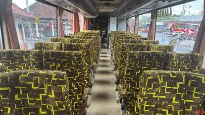 DG Trans Bus-Seats layout Image